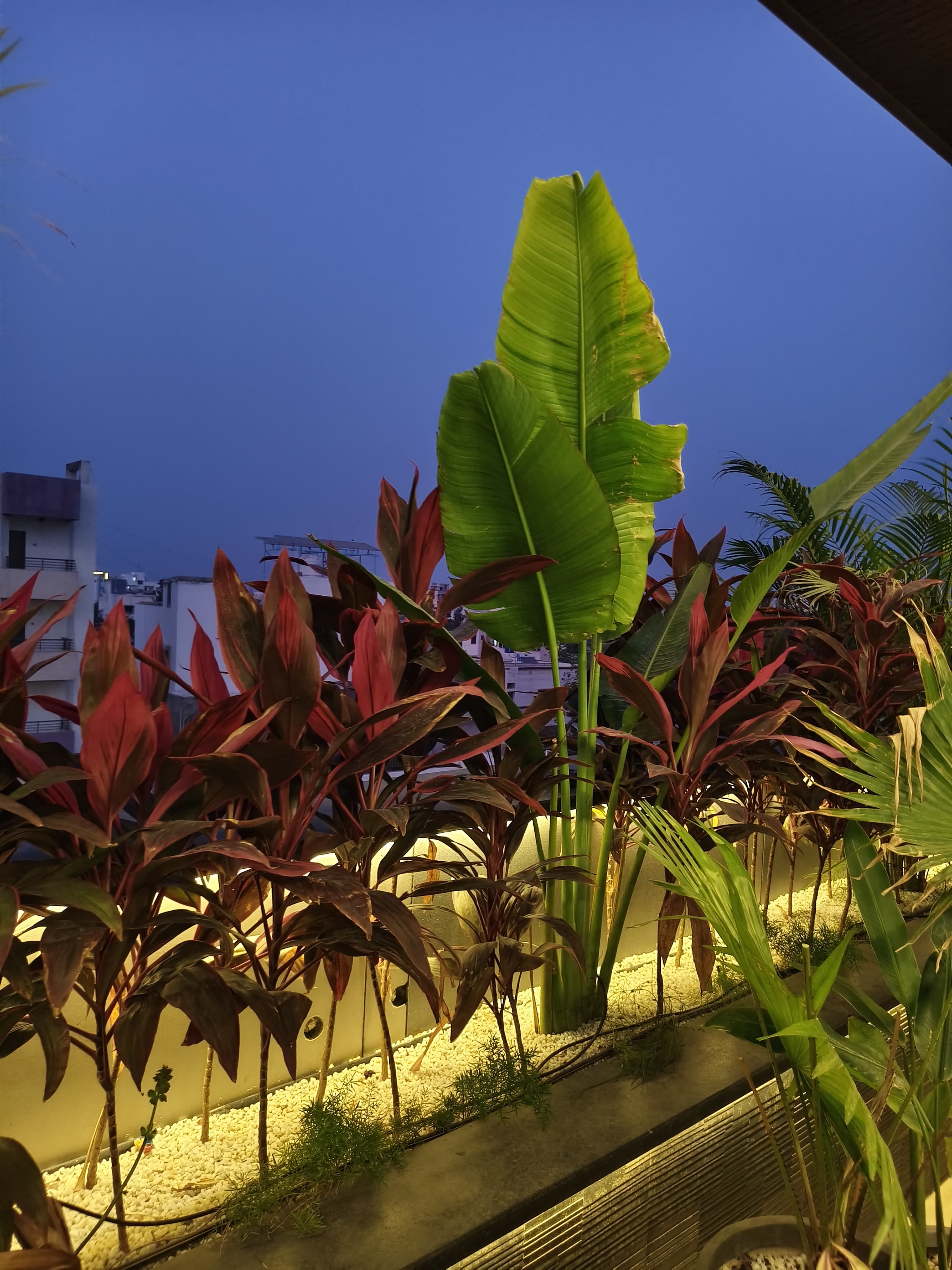 Vertical Garden & Living Wall System